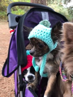 Joy, I am thinking she is not loving her hat 🤪 2017