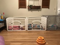 Puppy area