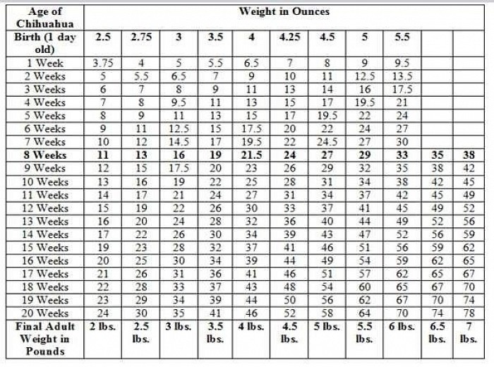 Puppy weight chart