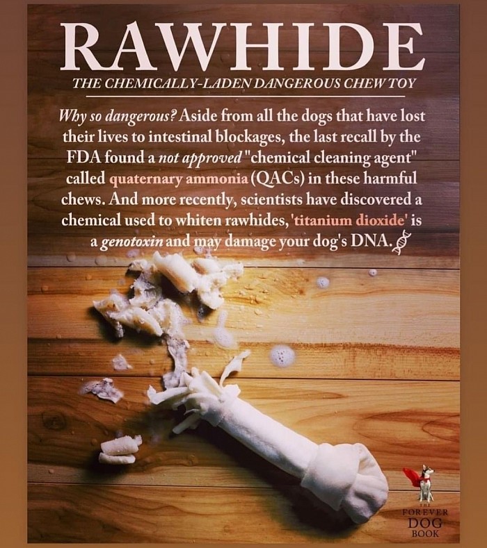 Please don’t feed your babies rawhide!