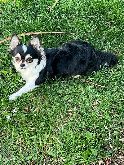 CJ will retire this winter (2026)