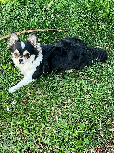 CJ will retire this winter (2026)