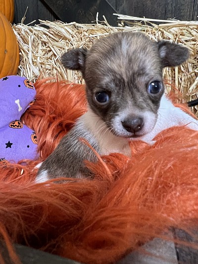 Videos on my YouTube channel