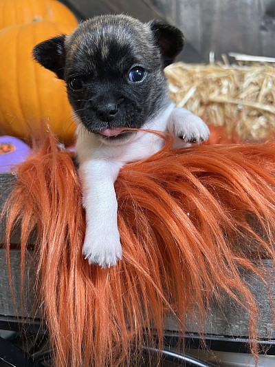 Videos on my YouTube channel