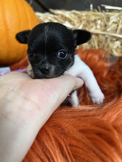 Videos on my YouTube channel