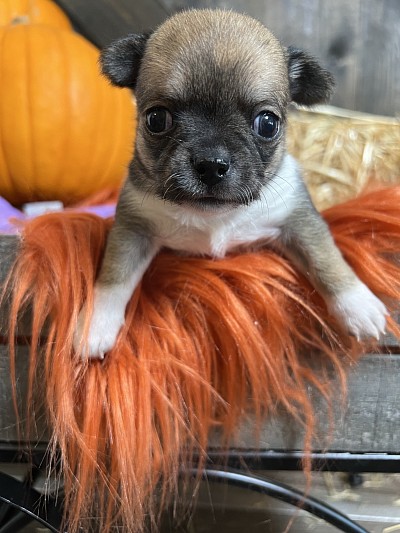 Videos on my YouTube channel