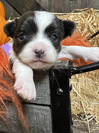 Videos on my YouTube channel