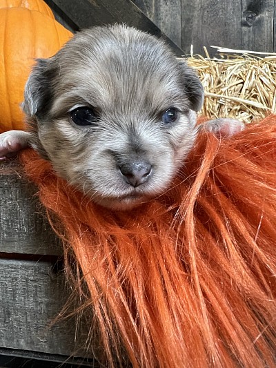 Videos on my YouTube channel