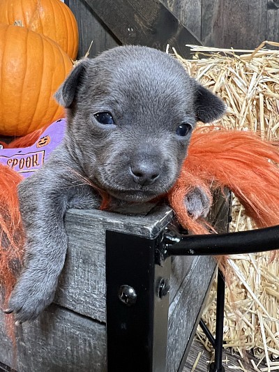 More videos on my YouTube channel