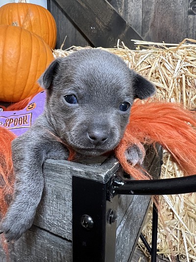 More videos on my YouTube channel