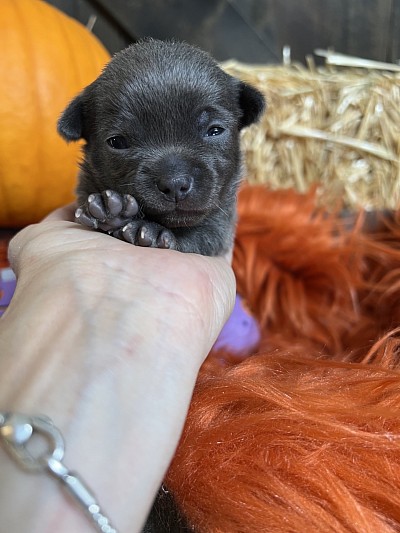 More videos on my YouTube channel