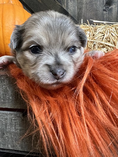 More videos on my YouTube channel