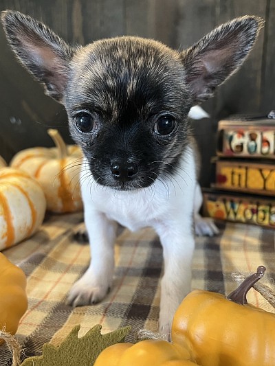 Videos on my YouTube channel