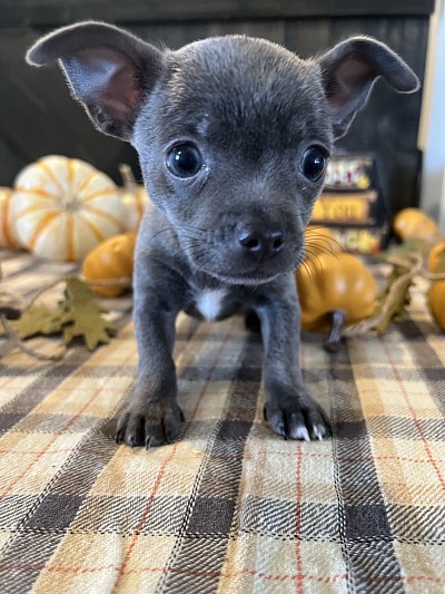 More videos on my YouTube channel