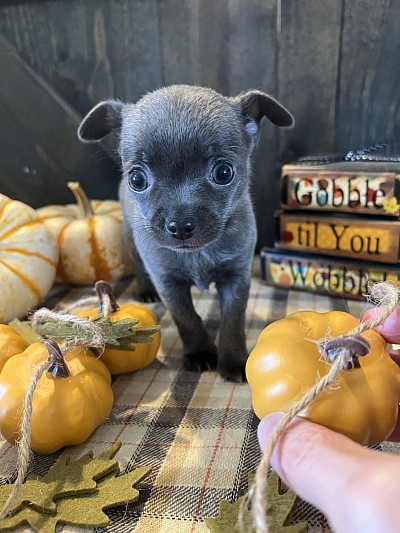 More videos on my YouTube channel