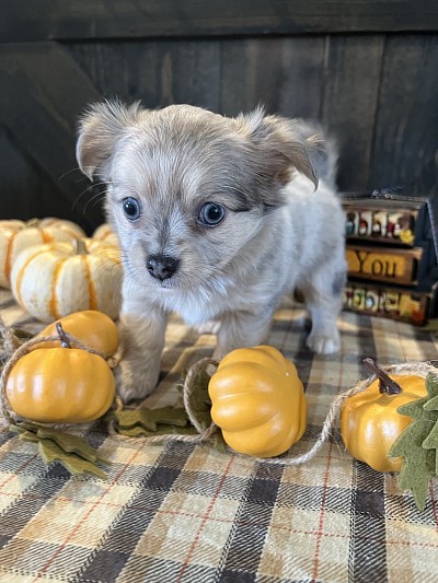 More videos on my YouTube channel