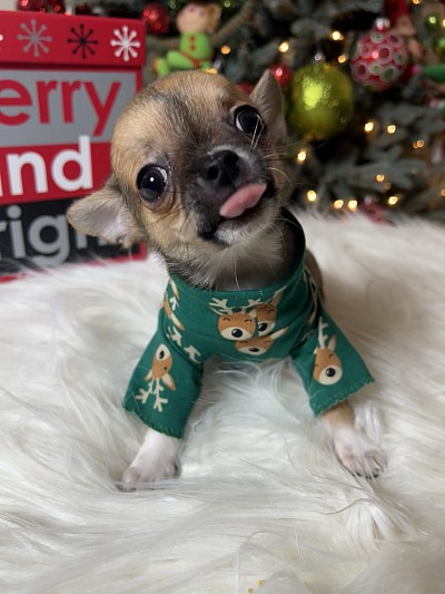 Videos on my YouTube channel