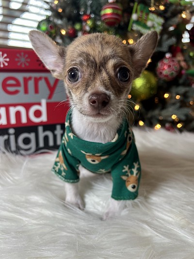 Videos on my YouTube channel