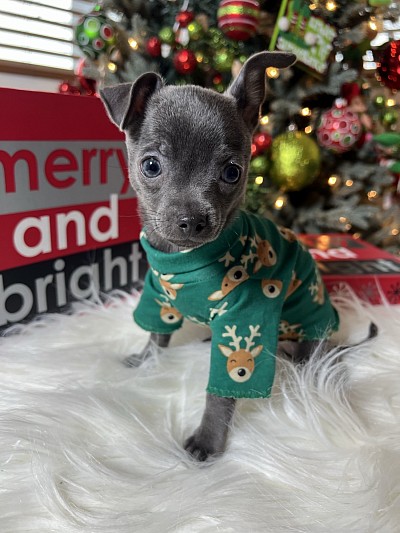 More videos on my YouTube channel