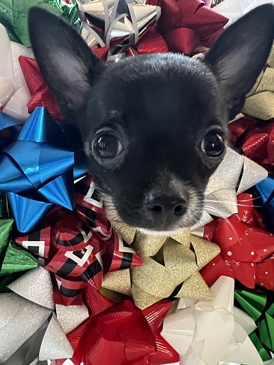 Videos on my YouTube channel