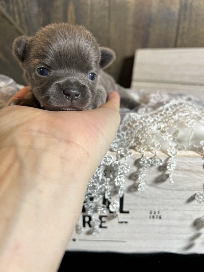 Pictures coming Saturday