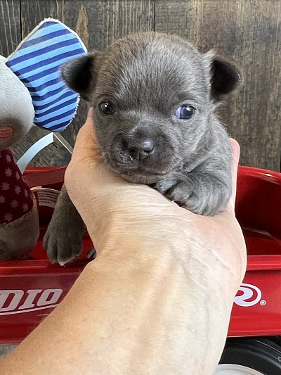 Pictures coming Saturday